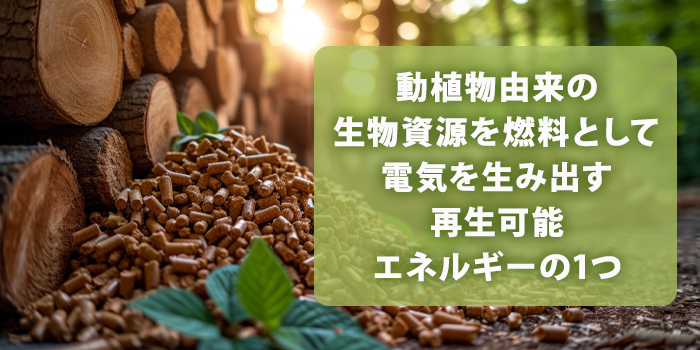 バイオマス発電とは？