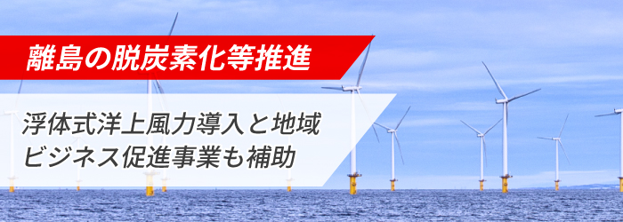 民間企業等による再エネの導入及び地域共生加速化事業｜(3) 離島の脱炭素化等推進事業