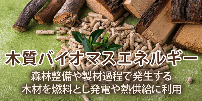 カーボンニュートラルとして注目される木質バイオマス