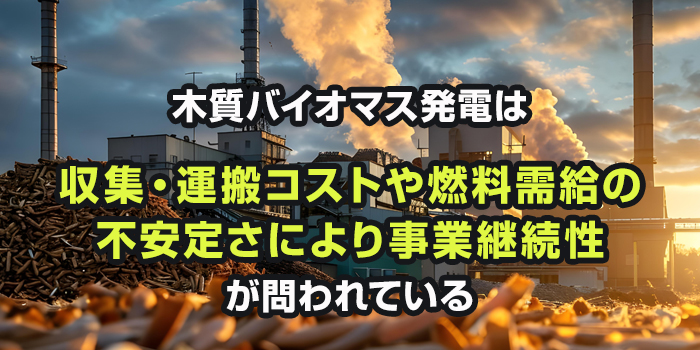 木質バイオマス発電の現状と課題